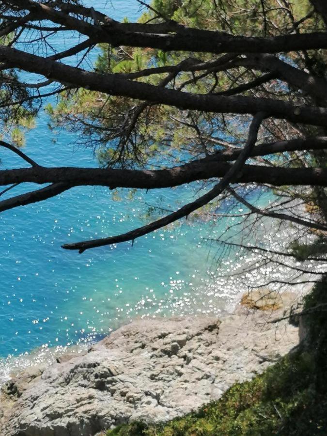 Ca Gianca Daire Riccò del Golfo di Spezia Dış mekan fotoğraf